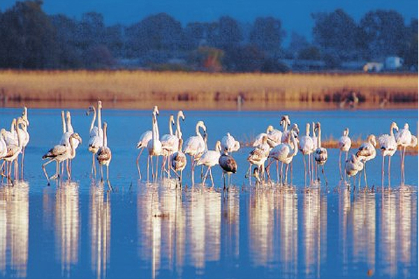 Ολοκληρώθηκε με επιτυχία περιβαλλοντική δράση σε Δημοτικά Σχολεία της Αθήνας